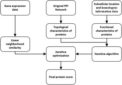 An Iterative Method for Predicting Essential Proteins Based on Multifeature Fusion and Linear Neighborhood Similarity